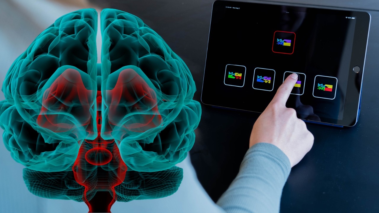 Compiled image with, on the left side, a graphic of a brain, on the right side a photo of a person pointing to an tablet with colourful graphics. Image text says "Personalizing Alzheimer's Care"