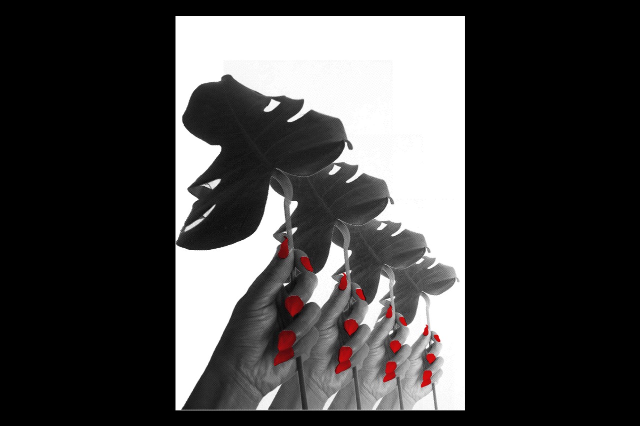 Ron Tran Fine Art Print